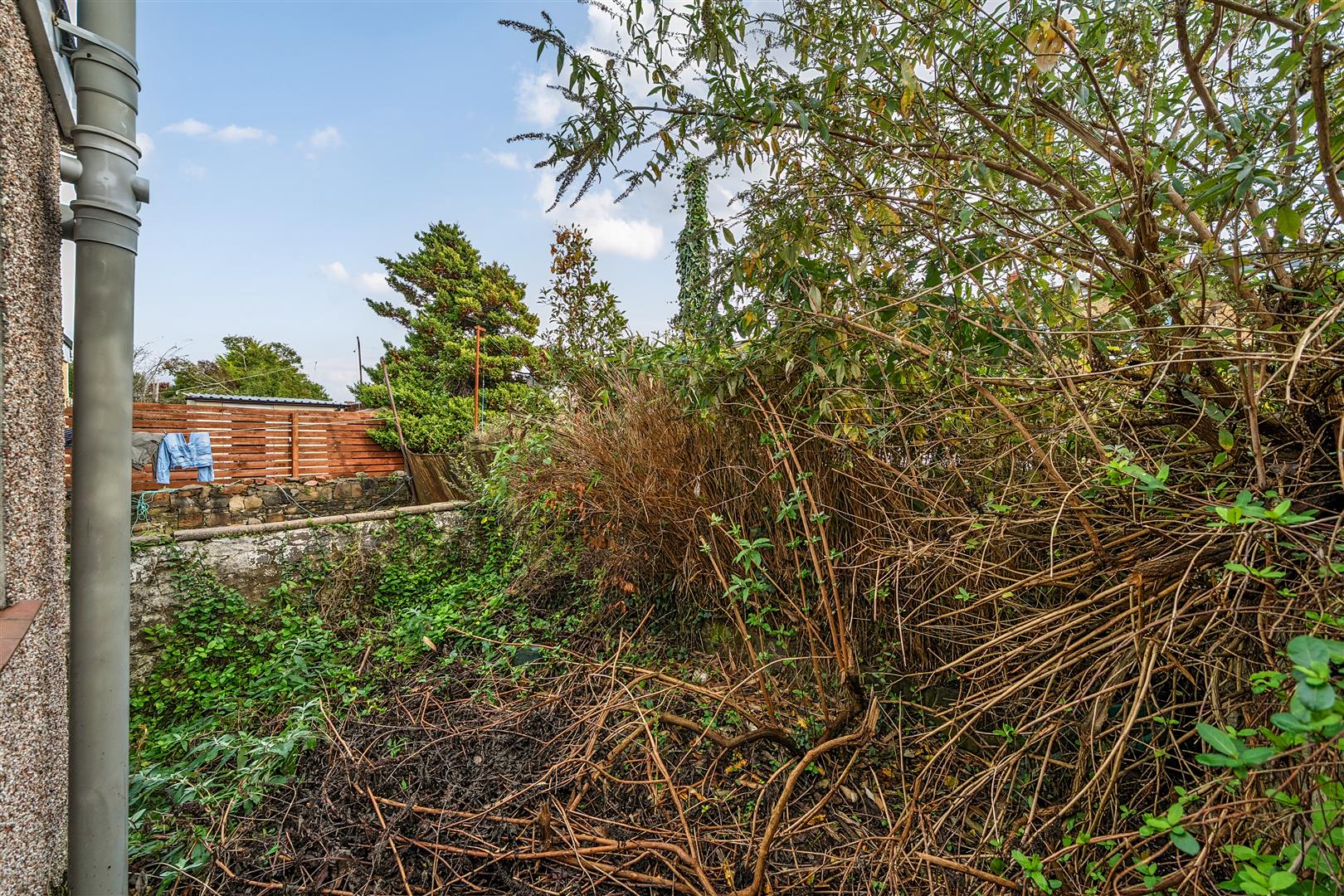 Oxford Street, Swansea, SA1 3JJ